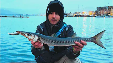 Pioggia, Elba, Alba, Spinning: Barracuda! - PURA EMOZIONE
