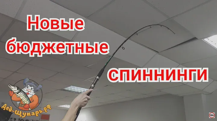 Бюджетный спиннинг Dayo FishWay