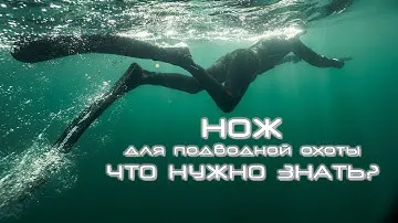 Нож для подводной охоты: что нужно знать?