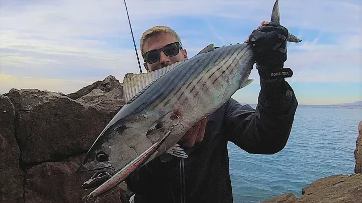 LIGHT SJ & DEEP SPINNING - Palamite e barracuda / Atlantic bonitos and barracudas