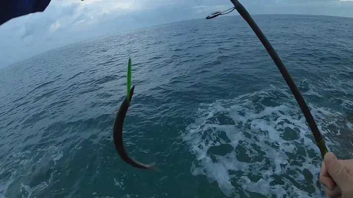 Barracuda Spinning - Testing new Duo lures