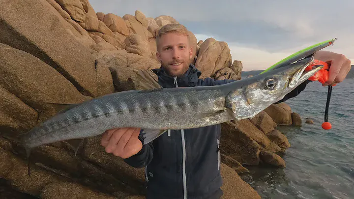 SPINNING INSHORE - Caccia ai grossi barracuda autunnali / Hunt for big autumn barracudas