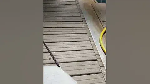 spinning barracuda